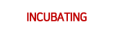Incubating